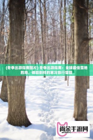 (冬季出游指南图片) 冬季出游指南：全球最佳雪地胜地，体验别样的寒冷旅行冒险